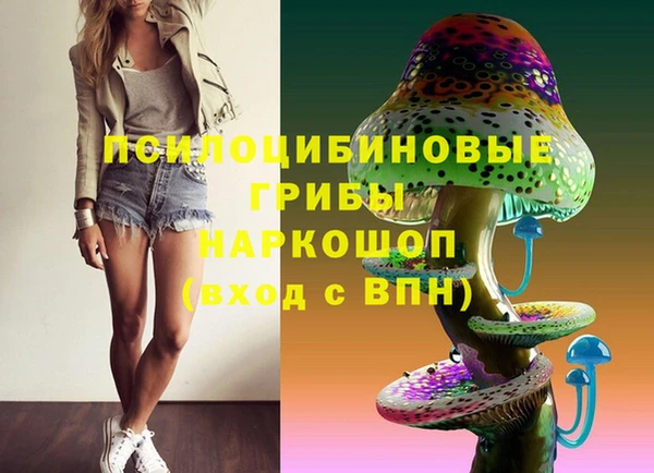 spice Абаза